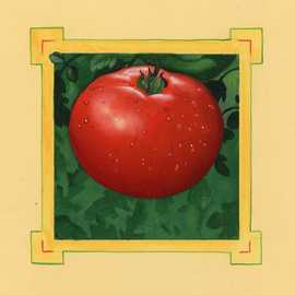   Tomato by Bryan Leister