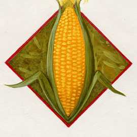   Corn diamond by Bryan Leister