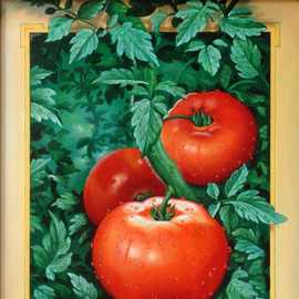   Tomatoes on a vine by Bryan Leister