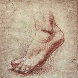   Foot Study by Bryan Leister