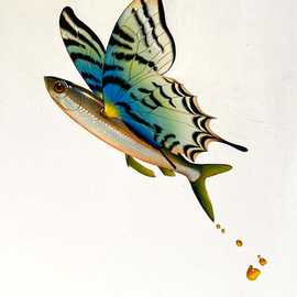   Flying Fish by Bryan Leister