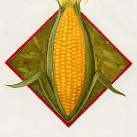   Corn diamond by Bryan Leister