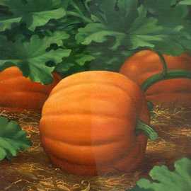   Pumpkin by Bryan Leister