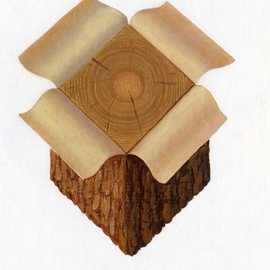   engineered wood by Bryan Leister